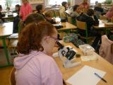 Mikroskopování v 6. třídě [nové okno]